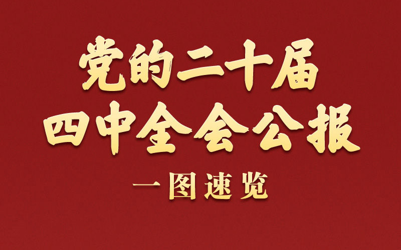 学习新语｜党的二十届四中全会公报一图速览