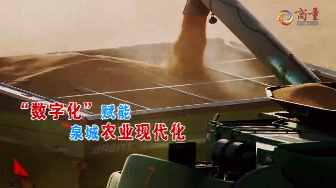 “商量”完整视频 | “数字化”赋能泉城农业现代化