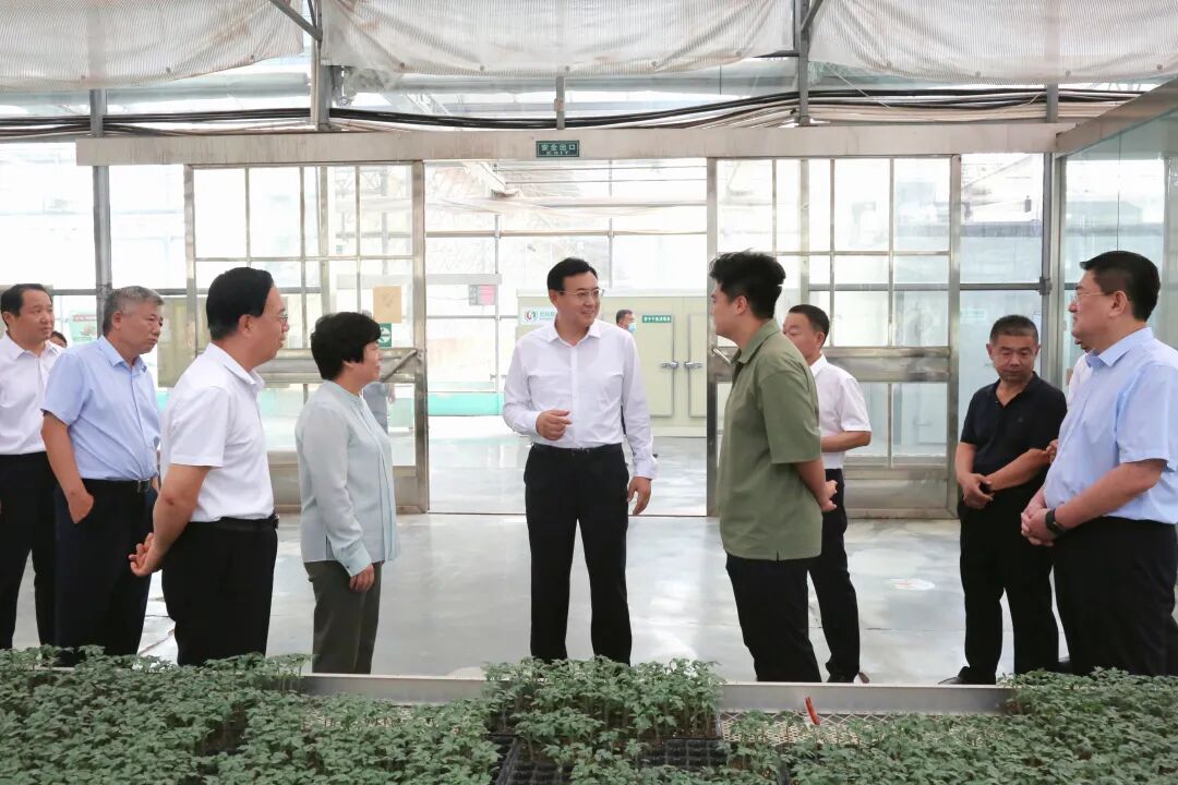 孙开连到济阳区调研农业产业发展与信访工作情况